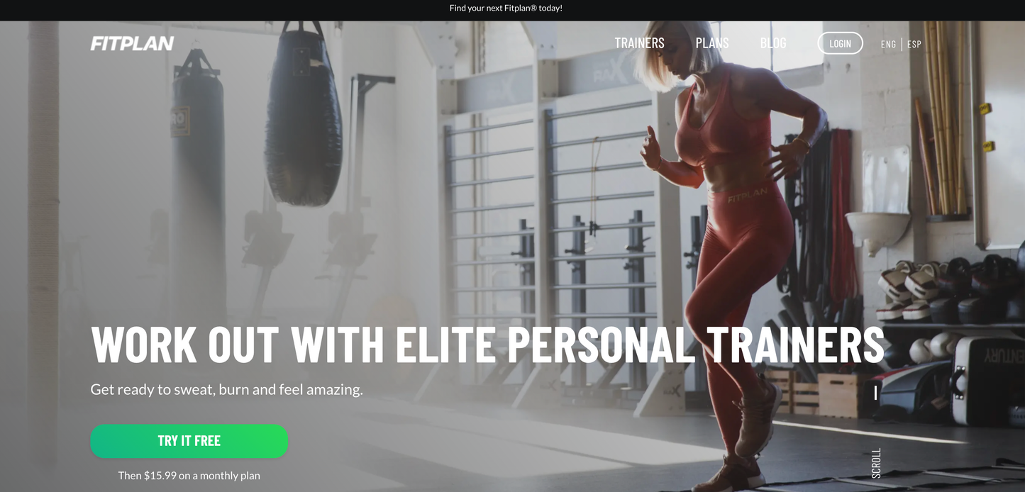 Pro Site Package – €2,500 initial / €150 monthly